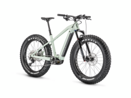 Elektrische mountainbikes