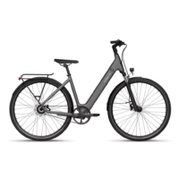 Elektrische stadsfietsen