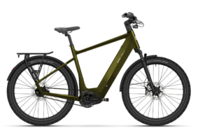 Elektrische stadsfietsen